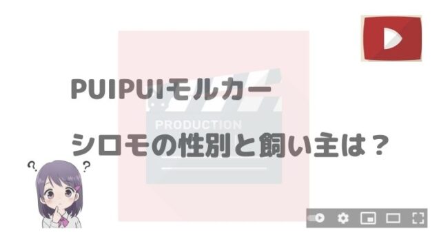 Puipuiモルカーのシロモの飼い主は誰 性別も気になる アニnavi